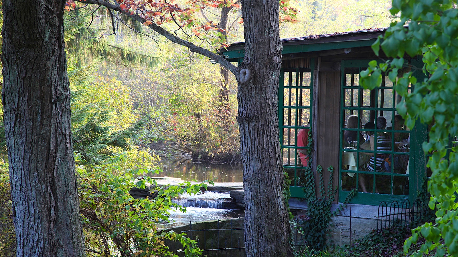 A stream cuts through a forest outside the Green Gables Restaurant, where patrons eat in a dining space surrounded by green windows